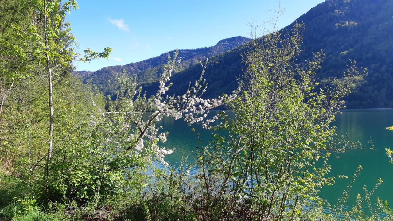 Jaegerhaus Villa Hintersee Dış mekan fotoğraf