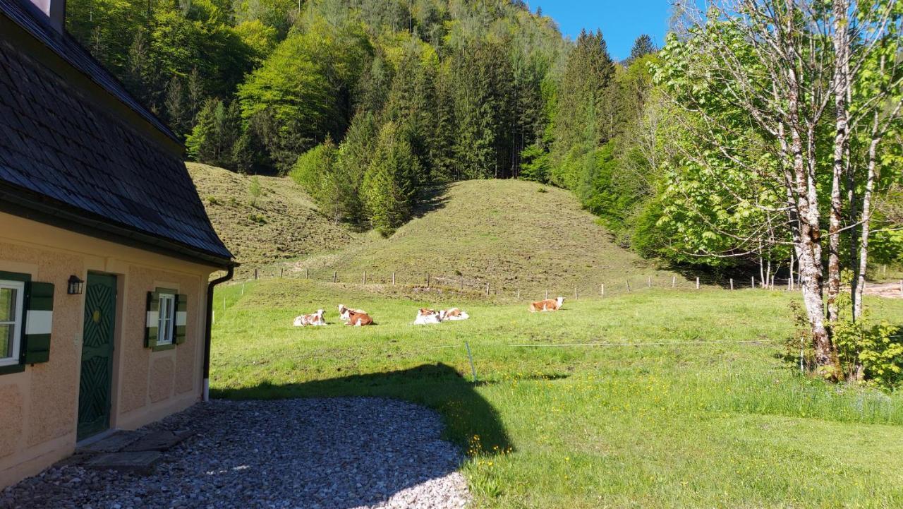 Jaegerhaus Villa Hintersee Dış mekan fotoğraf