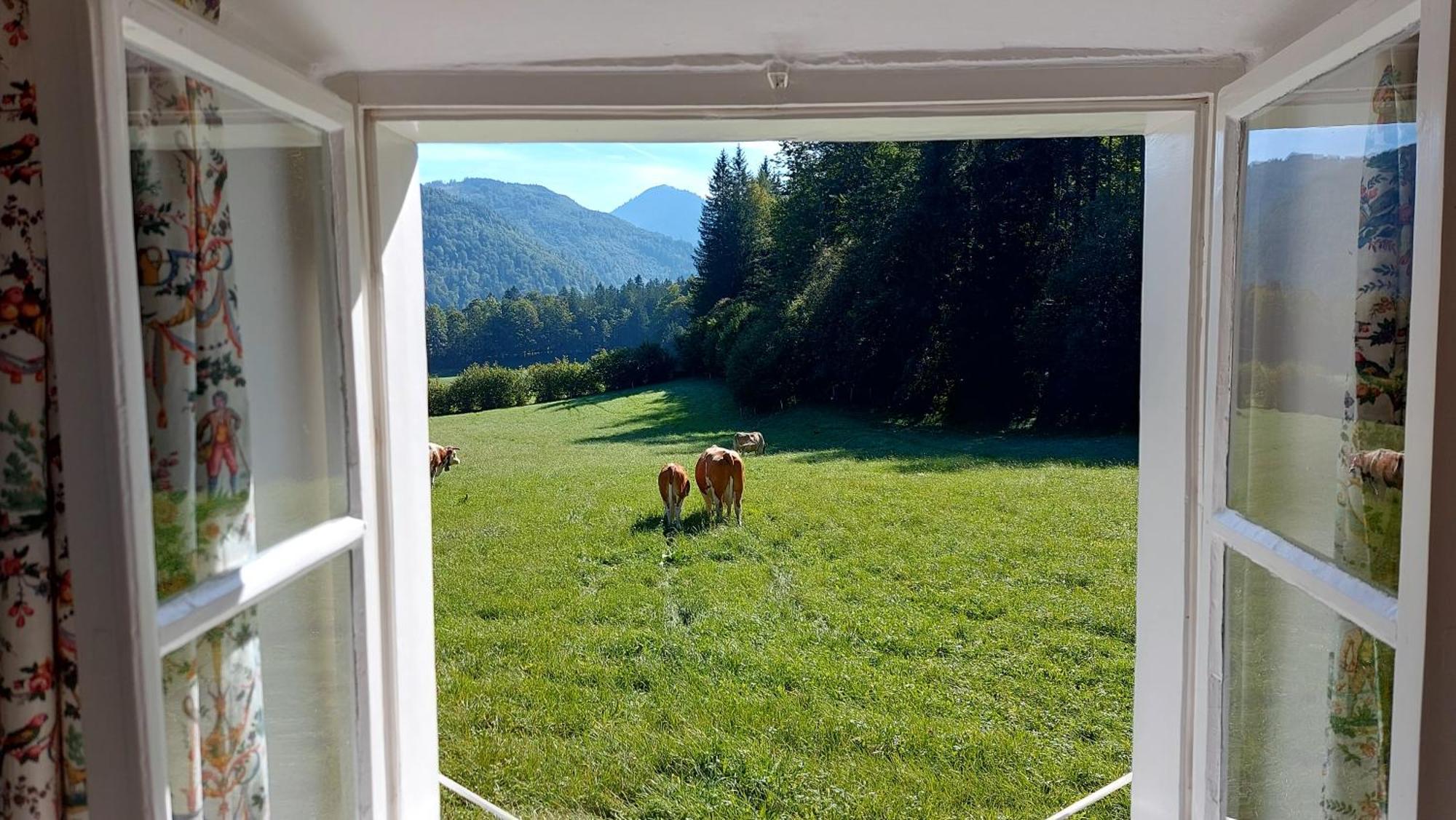 Jaegerhaus Villa Hintersee Dış mekan fotoğraf