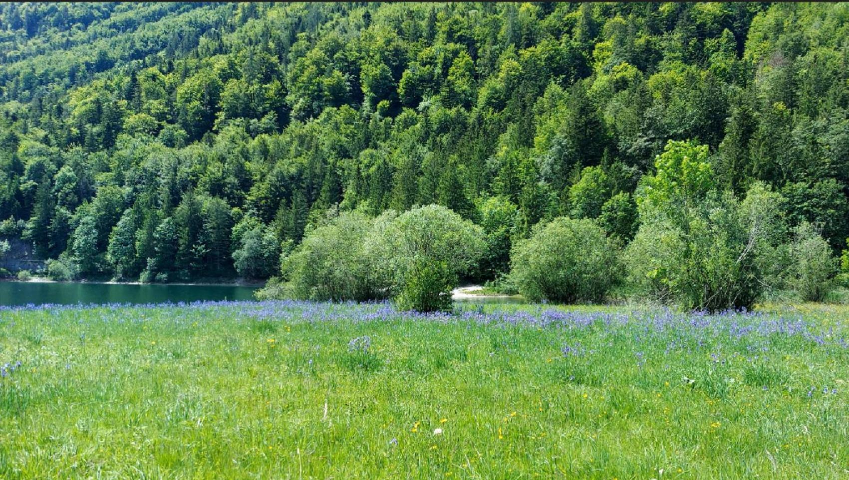 Jaegerhaus Villa Hintersee Dış mekan fotoğraf